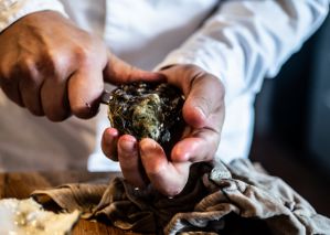 A man cutting fresh Oysters